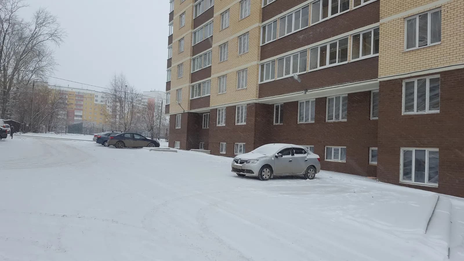 Клён