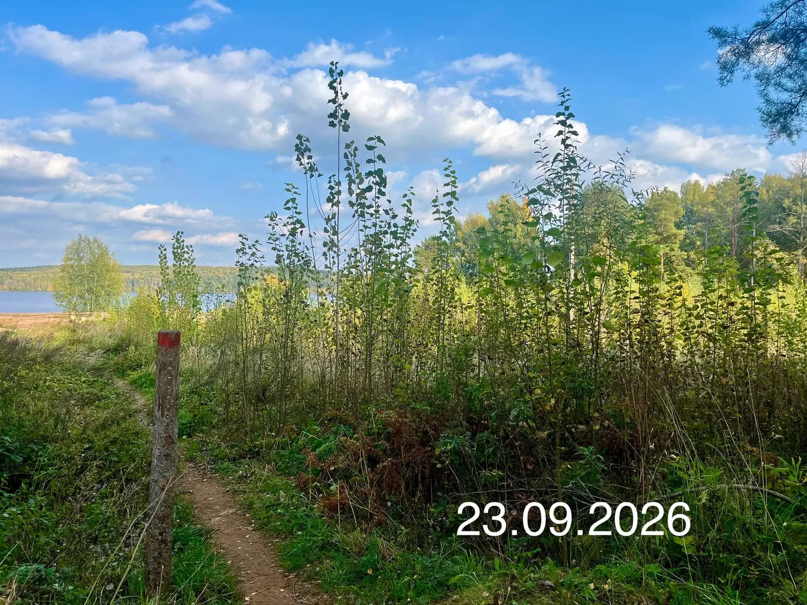 Жилой дом, Чайковский, Улица Ленина: ход строительства, сентябрь 2026